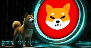 Shiba Inu puppy